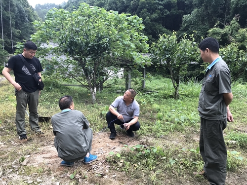 曾慶明：考察試驗.jpg